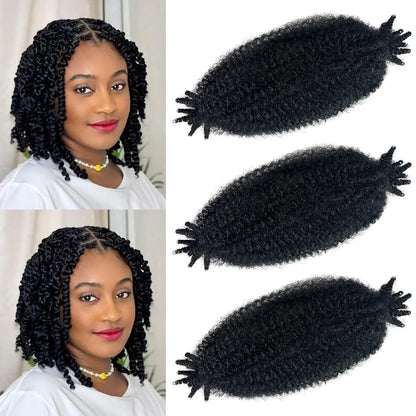 Spring Afro Twist Hair