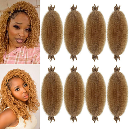 Spring Afro Twist Hair
