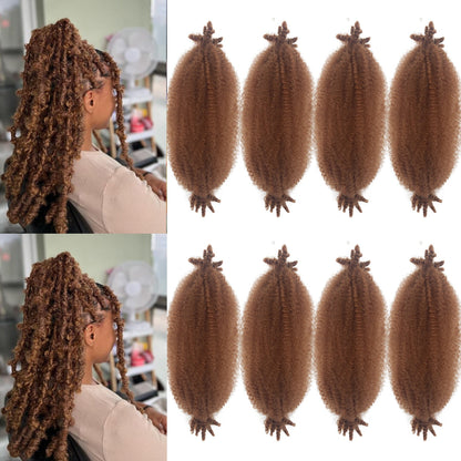 Spring Afro Twist Hair